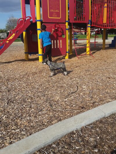 Martin Luther King Jr. Park - Sacramento, CA