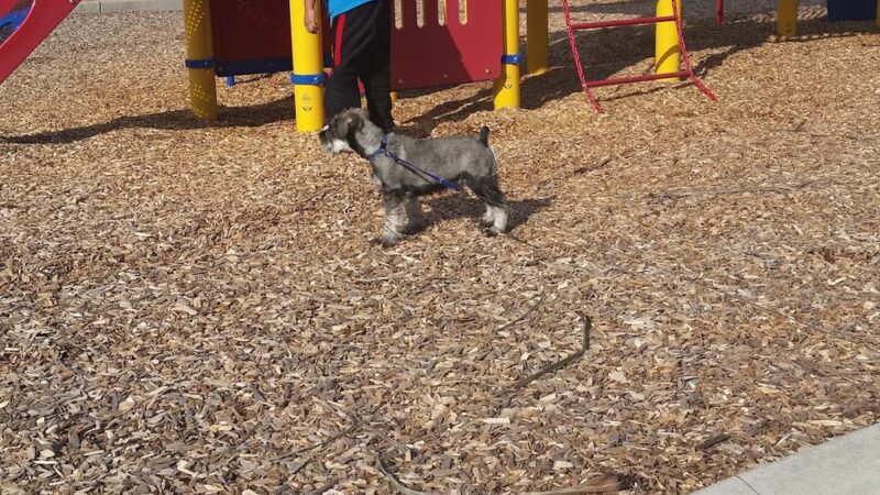 Martin Luther King Jr. Park - Sacramento, CA