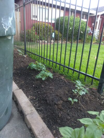 Martin Luther King Jr. Park - Sacramento, CA