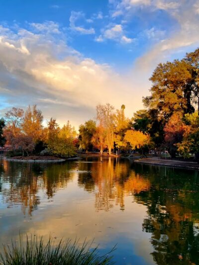 McKinley Park - Sacramento, CA