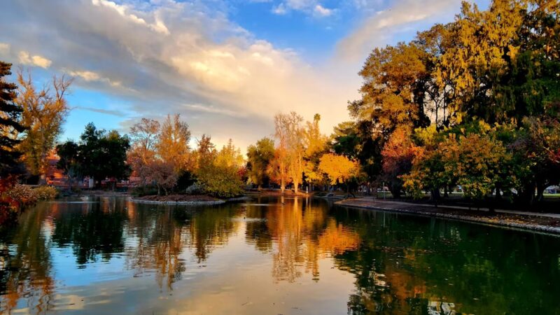 McKinley Park - Sacramento, CA