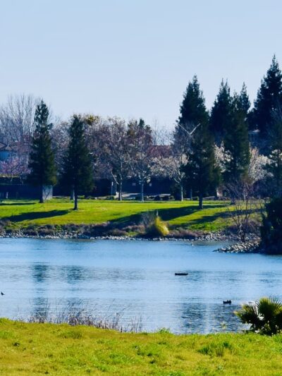 North Natomas Regional Park - Sacramento, CA