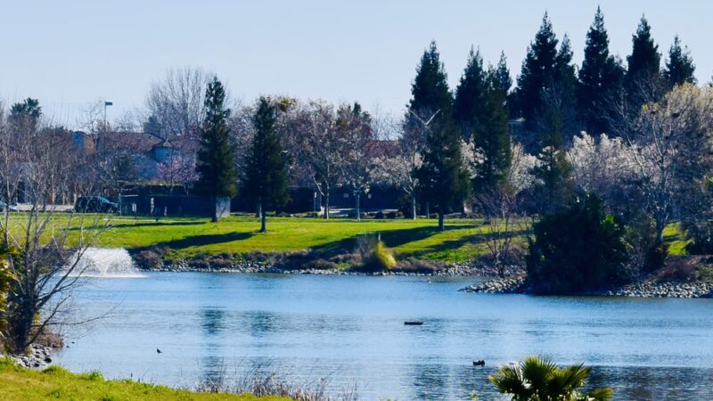 North Natomas Regional Park - Sacramento, CA