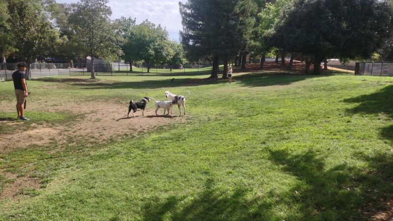 Partner Park Dog Park - Sacramento, CA