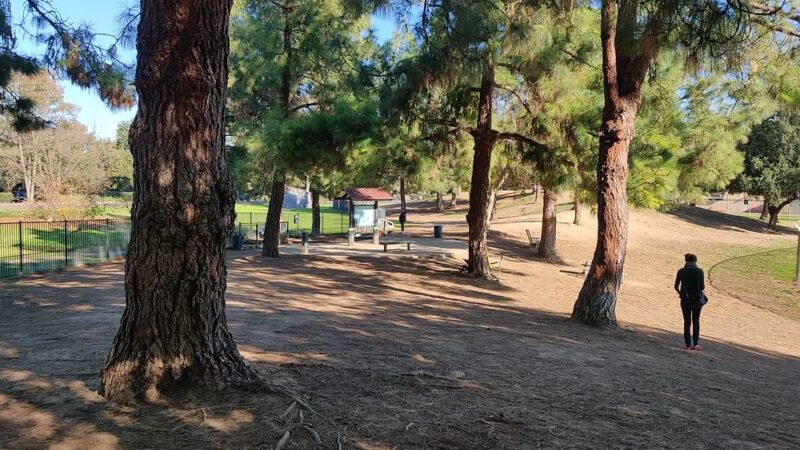 Partner Park Dog Park - Sacramento, CA