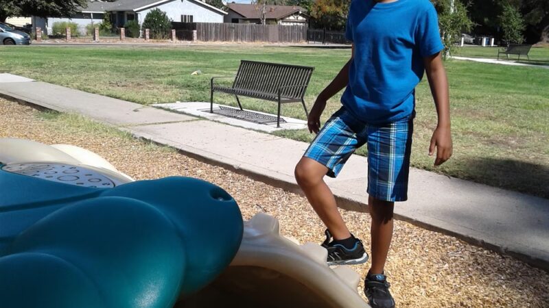 Pollack Ranch Park - Sacramento, CA