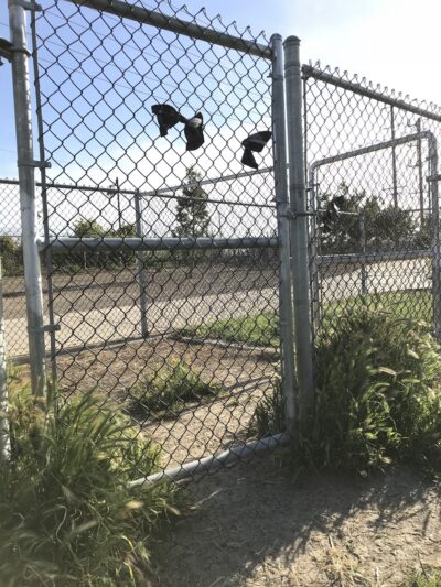 Tanzanite Dog Park - Sacramento, CA