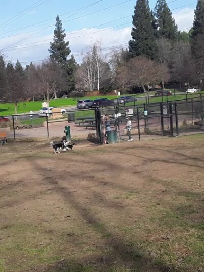 University Park Dog Park - Sacramento, CA