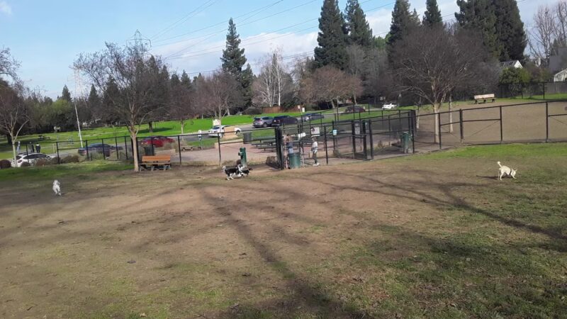 University Park Dog Park - Sacramento, CA