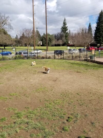 University Park Dog Park - Sacramento, CA