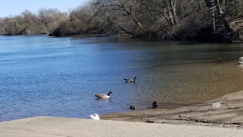 University Park Dog Park - Sacramento, CA