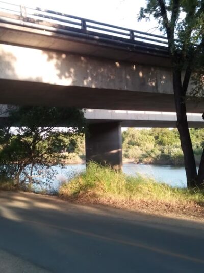 University Park Dog Park - Sacramento, CA
