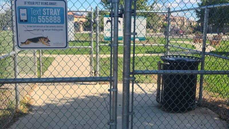 Valley Oak Dog Park - Sacramento, CA