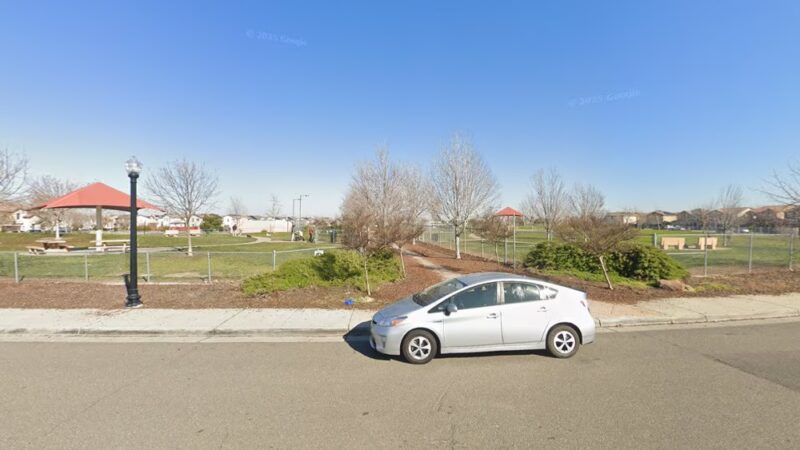 Valley Oak Dog Park - Sacramento, CA