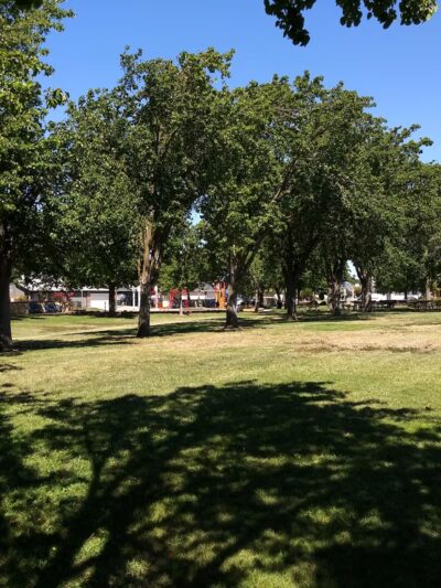 Willowood Park - Sacramento, CA