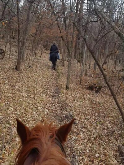 Skalbekken County Park - Sacred Heart, MN