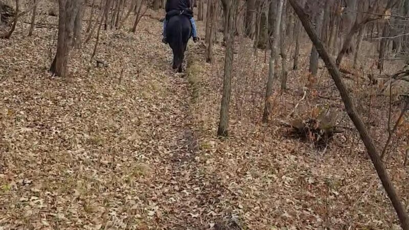 Skalbekken County Park - Sacred Heart, MN