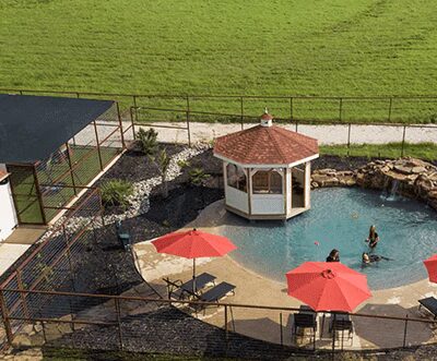 PlayStayTion Pet Resort & Training - Sadler, TX