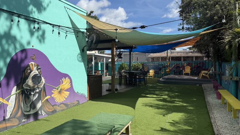 Neighborhood BarK and Boutique - Safety Harbor, FL