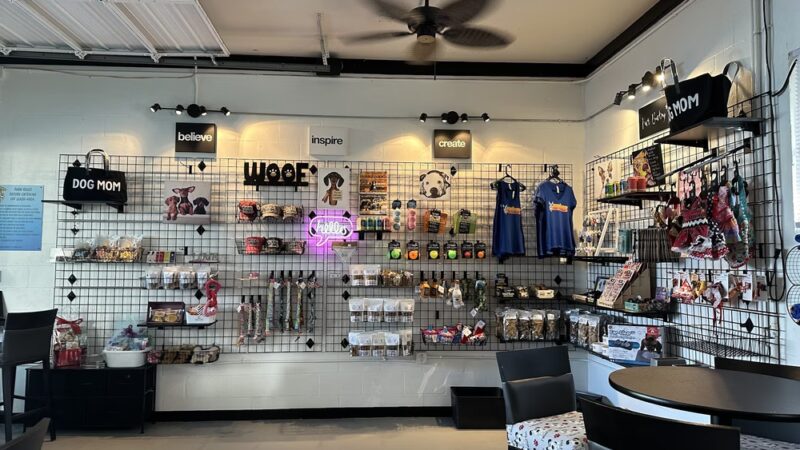 Neighborhood BarK and Boutique - Safety Harbor, FL