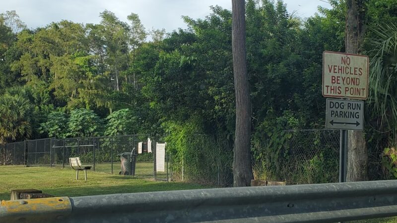 Safety Harbor Dog Run - Safety Harbor, FL