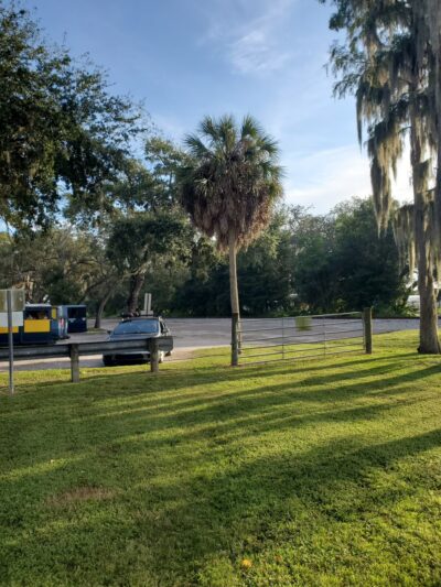 Safety Harbor Dog Run - Safety Harbor, FL