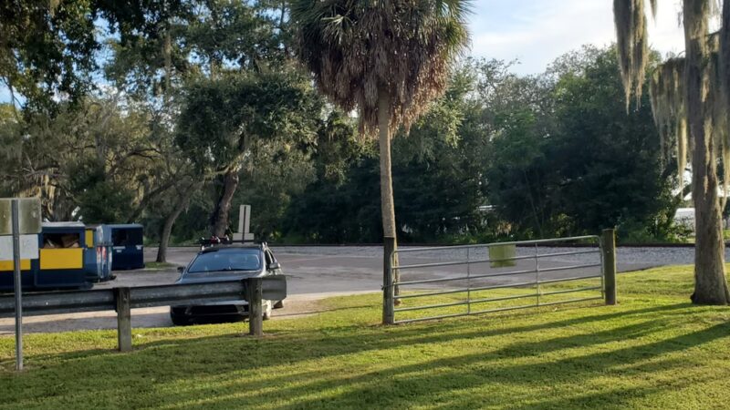 Safety Harbor Dog Run - Safety Harbor, FL