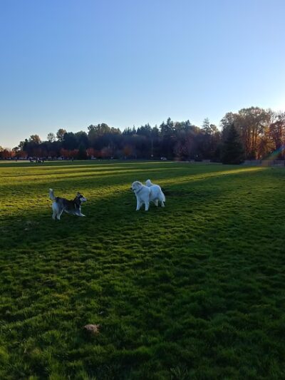 Keizer Rapids Dog Park - Salem, OR