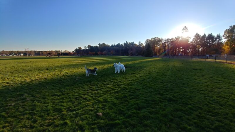 Keizer Rapids Dog Park - Salem, OR