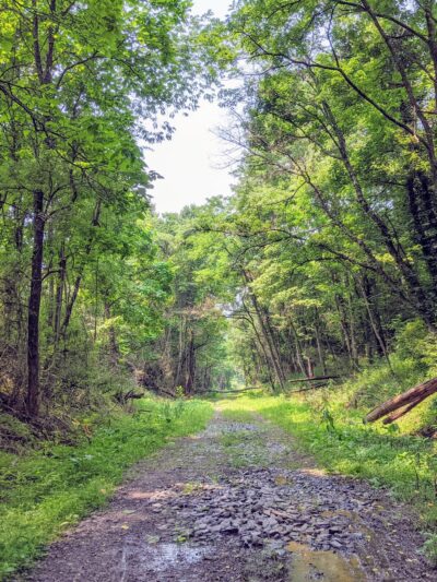 North Bend Trail parking - Salem, WV
