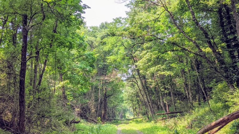 North Bend Trail parking - Salem, WV