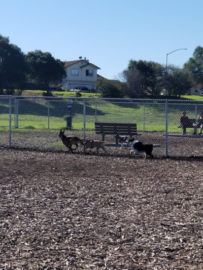 Natividad Creek Park - Salinas, CA