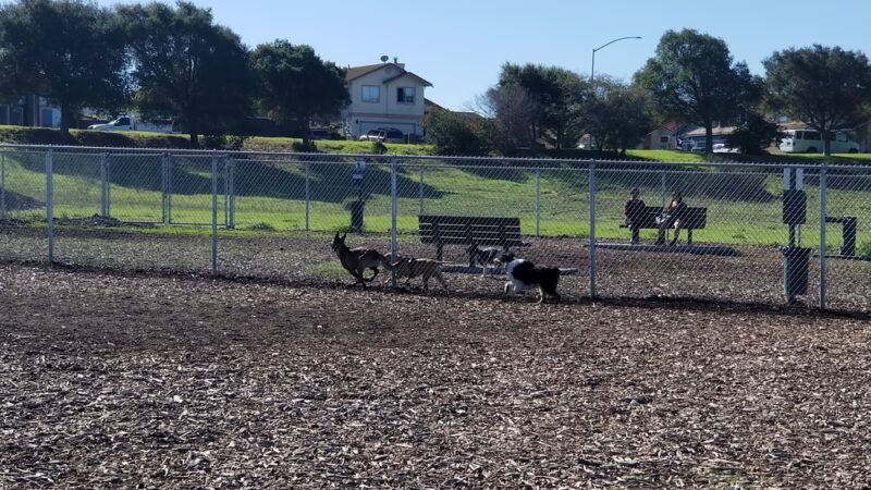 Natividad Creek Park - Salinas, CA