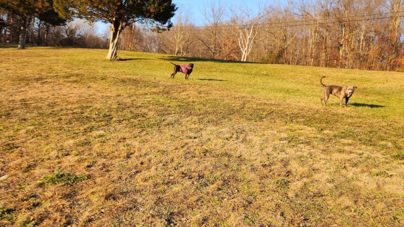 Clinton Hollow Road Park - Salt Point, NY