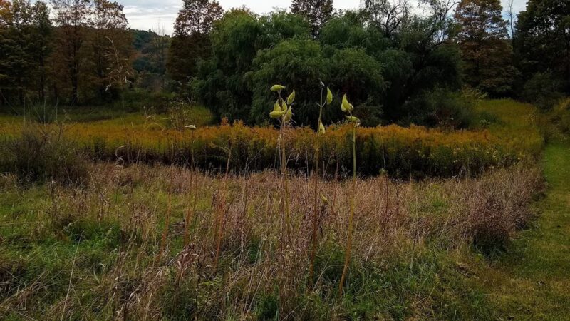 Clinton Hollow Road Park - Salt Point, NY