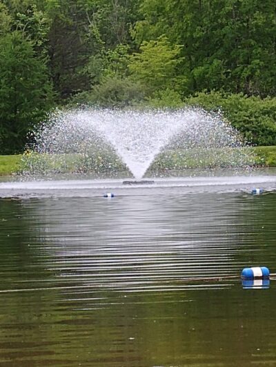 Frances J. Mark Memorial Park - Salt Point, NY