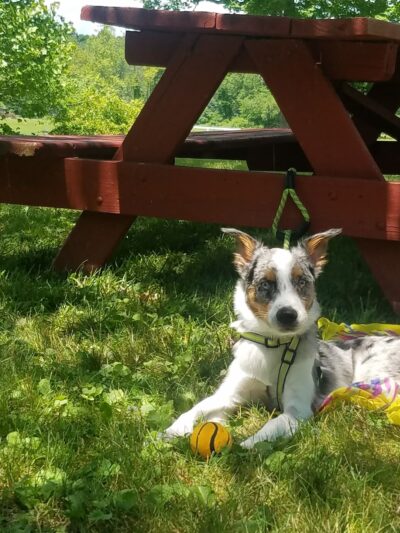 Frances J. Mark Memorial Park - Salt Point, NY