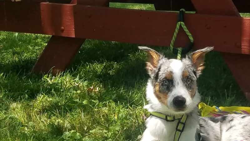 Frances J. Mark Memorial Park - Salt Point, NY