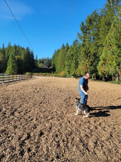 Beaver Lake Off-Leash Dog Park - Sammamish, WA