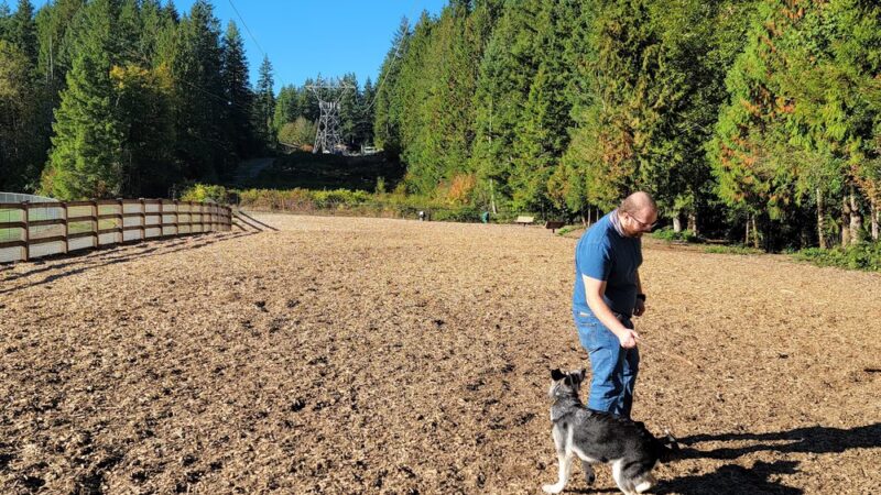Beaver Lake Off-Leash Dog Park - Sammamish, WA