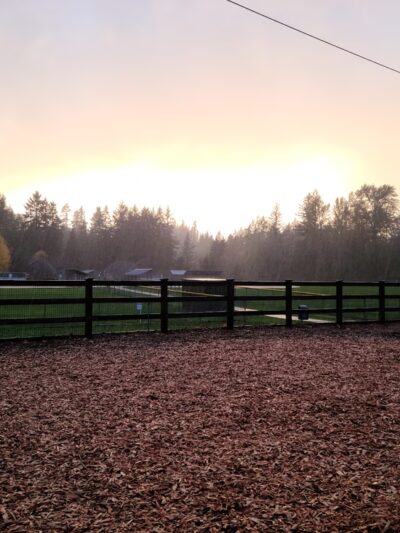 Beaver Lake Off-Leash Dog Park - Sammamish, WA