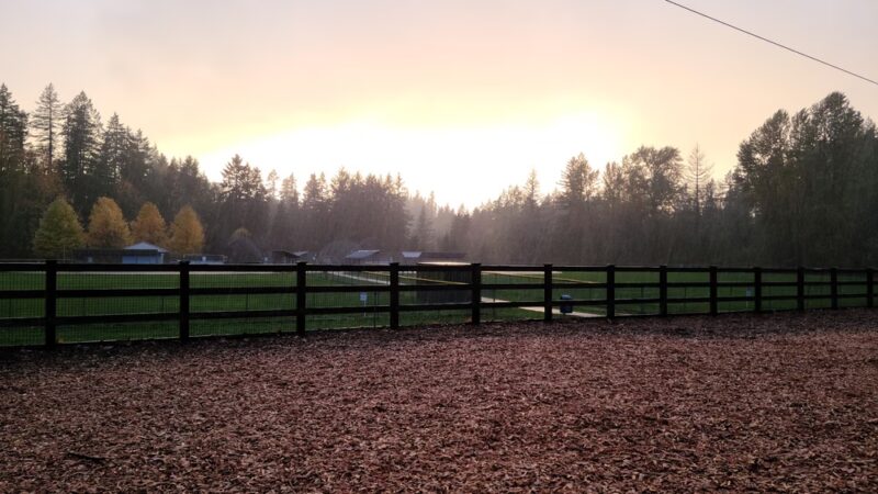 Beaver Lake Off-Leash Dog Park - Sammamish, WA