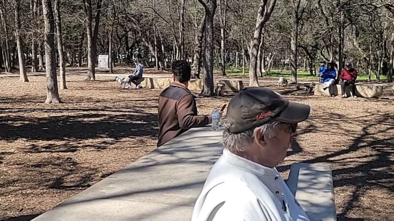 Blanco Road Dog Park in Phil Hardberger Park - San Antonio, TX