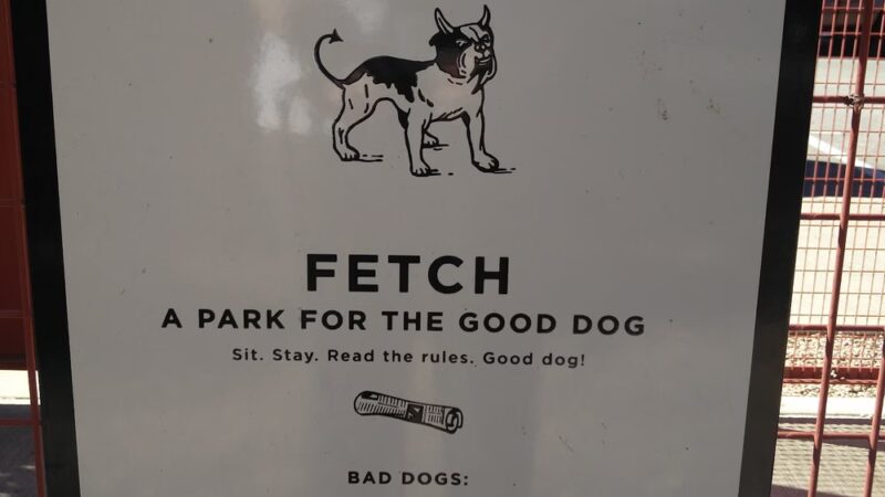 Dog Convenience Station - San Antonio, TX