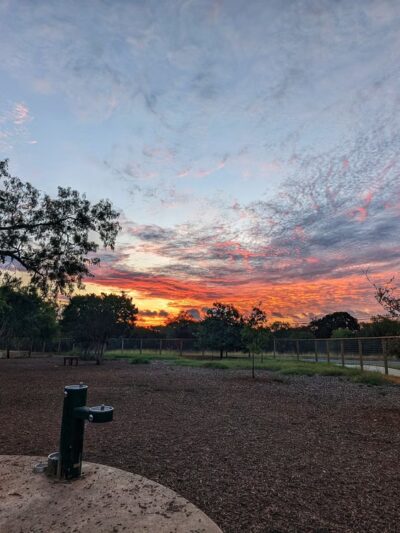 Fox Dog Park - San Antonio, TX