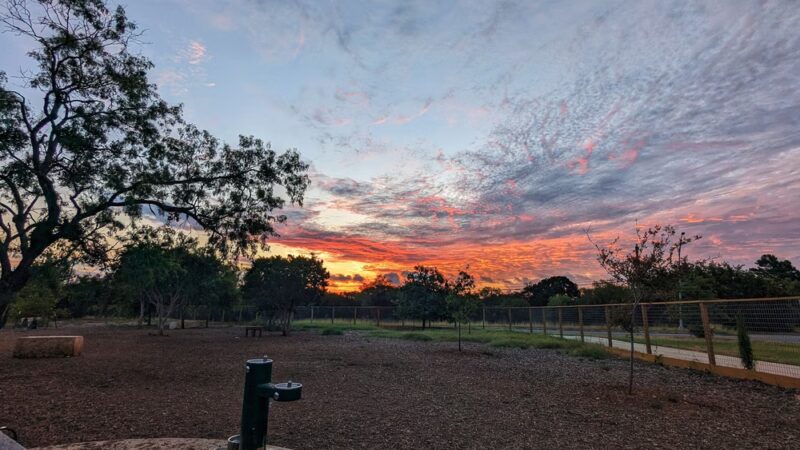 Fox Dog Park - San Antonio, TX