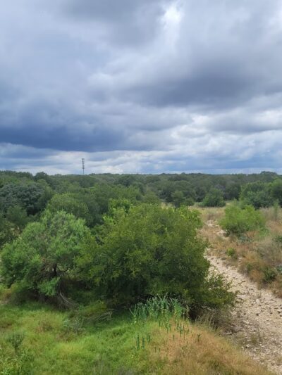 Fox Dog Park - San Antonio, TX