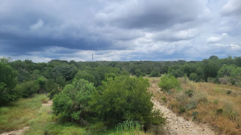 Fox Dog Park - San Antonio, TX