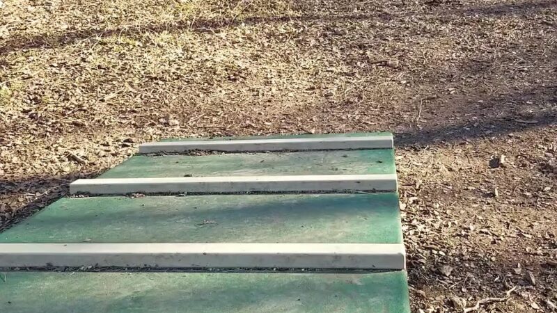 Lady Bird Johnson Dog Park - San Antonio, TX