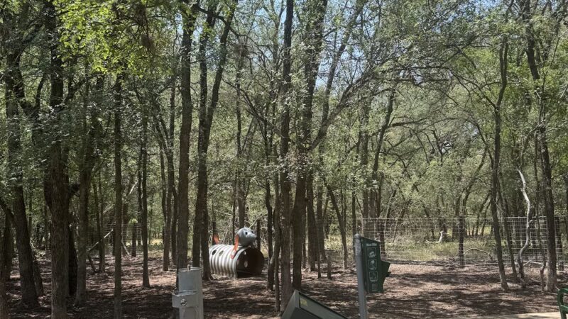 Lady Bird Johnson Dog Park - San Antonio, TX